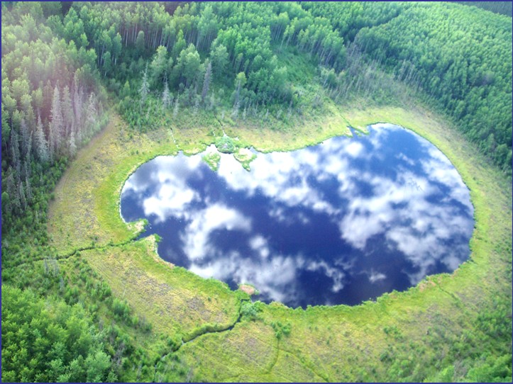 Shallow boreal lake