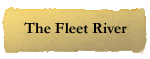 The Fleet River