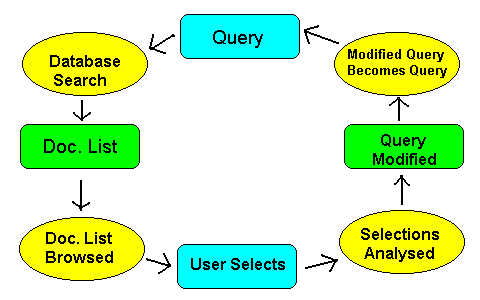 feedback model