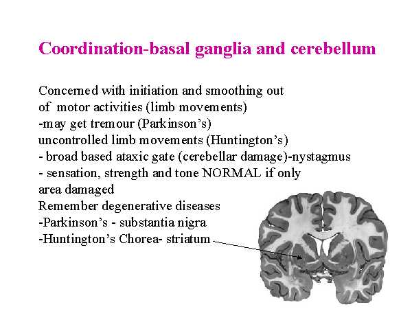 PPT Slide