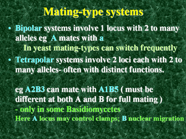 mating-type-systems