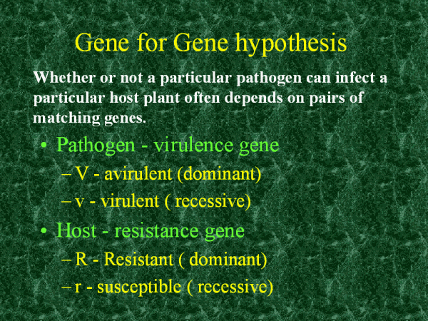 definition of hypothesis in genetics