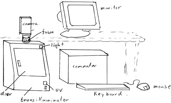 Gel documentation