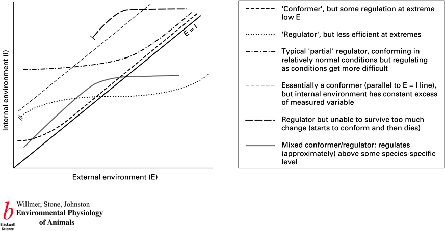 bio272b-lecture-3-size-and-scale