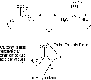 SP 2 Flat