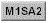 m1sa2.gif (1292 bytes)