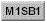 m1sb1.gif (1274 bytes)