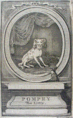 Frontispiece to "The History of Pompey the Little"