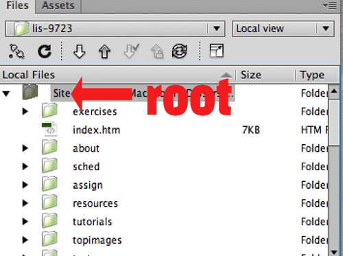 root folder