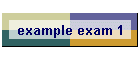 example exam 1