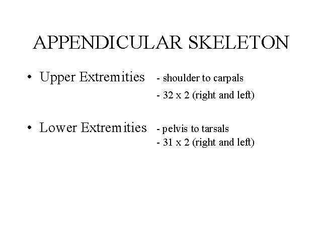 APPENDICULAR SKELETON