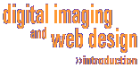 digital imaging and web design >>introduction
