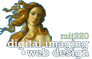 digital imaging and web design with illustration of Venus on a Half-Shell