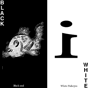 black and white fisheyes