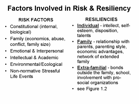 Factors Involved in Risk & Resiliency