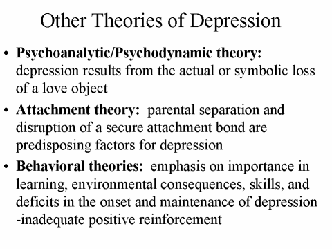 Other Theories of Depression