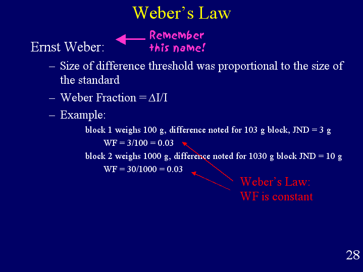 What Is Weber's Law In Psychology