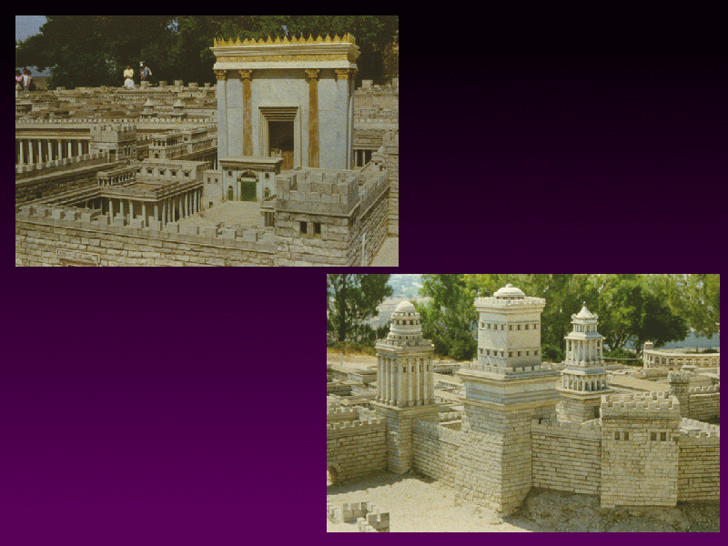 Slide 7
