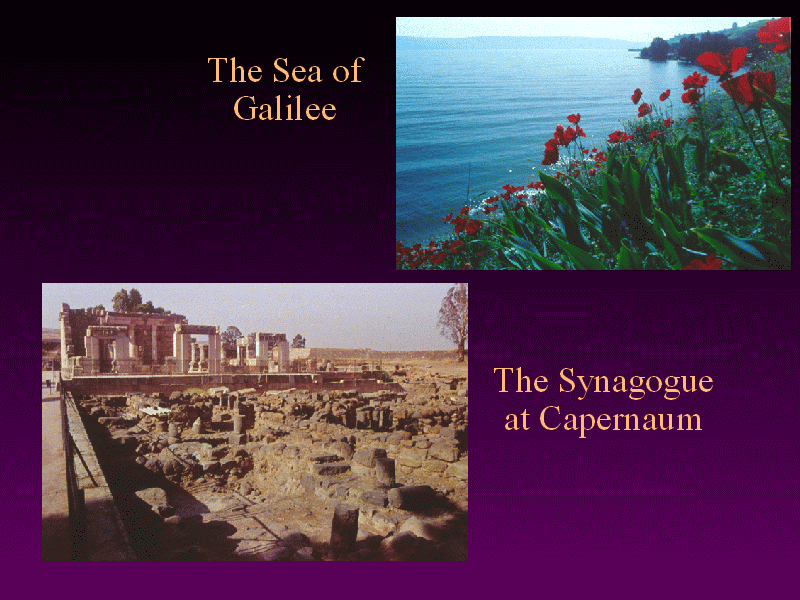 Slide 7
